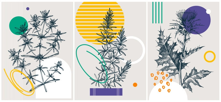 Collage style summer flowers vector illustration. Hand-sketched floral banner. Trendy design with botanical, geometric shapes, and abstract elements. For print, poster, card, social media, wall art.